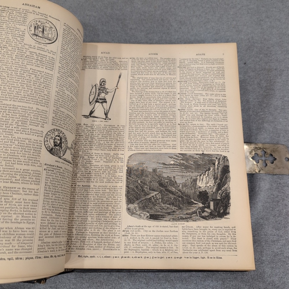 1883 Holman Pictorial Bible Dore Engravings Springs Family Fort Mill SC Ephemera - Picture 10 of 16